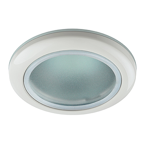 Светильник WR1 WH ЭРА влагозащищенный MR16,12V/220V, 50W белый