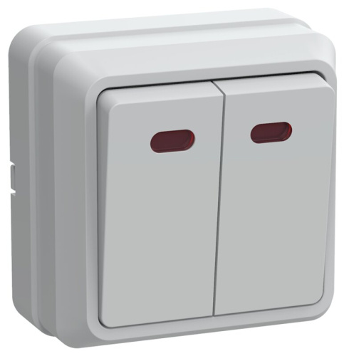 Выключатель 2кл с инд. 10А ОКТАВА (белый) ВС20-2-1-ОБ 