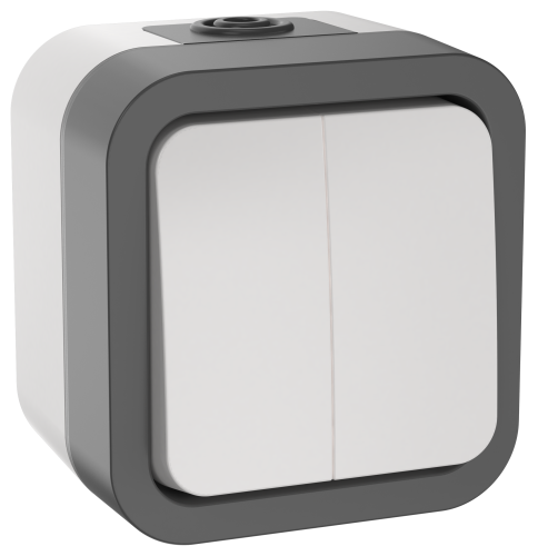 TORS Выключатель двухклавишный 10А IP55 TS205 белый IEK