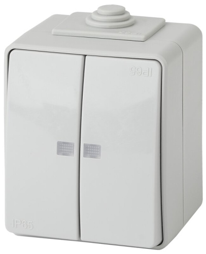 Выключатель двойной с подсветкой IP65, 10АХ-250В, ОУ, Эра Эксперт, серый,11-1605-03