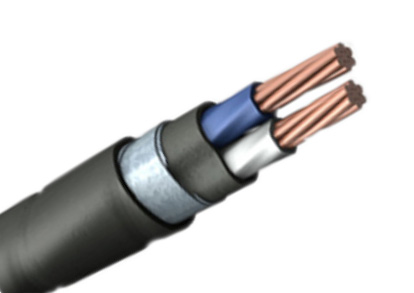 Кабель ВБШвнг(А)-LS 2х25 мк(N)-0,66 ГОСТ 31996-2012