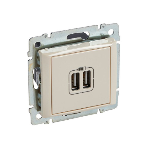 Розетка 2-я USB VLN СЛНК Valena
