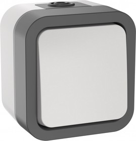 Выключ. двухполюсный однокл. 10А IP55 TS211 белый TORS  IEK