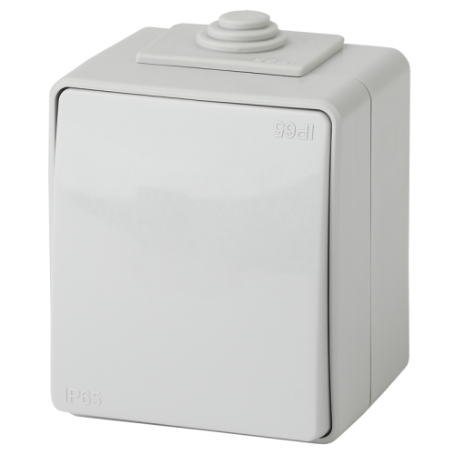 Переключатель ОУ Эра Эксперт IP65 11-1603-03 250В 10AX-250В сер.