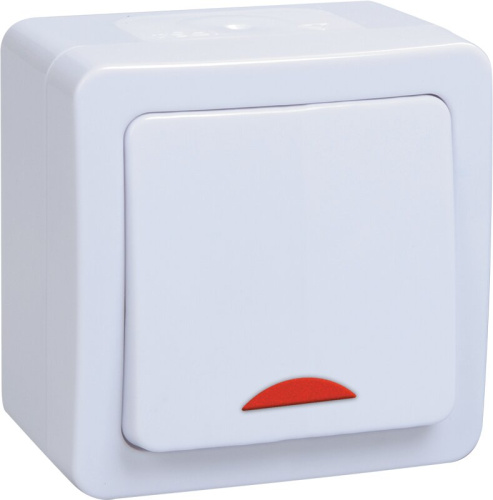Выключатель 1кл с инд о/у IP54 (цвет клавиш: белый) ГЕРМЕС PLUS ВС20-1-1-ГПБ 