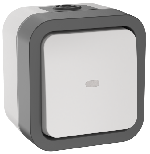 TORS Переключатель однокл. с ин. 10А IP55 TS202 белый IEK