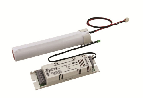 Блок аварийного питания AWEX LE58/1